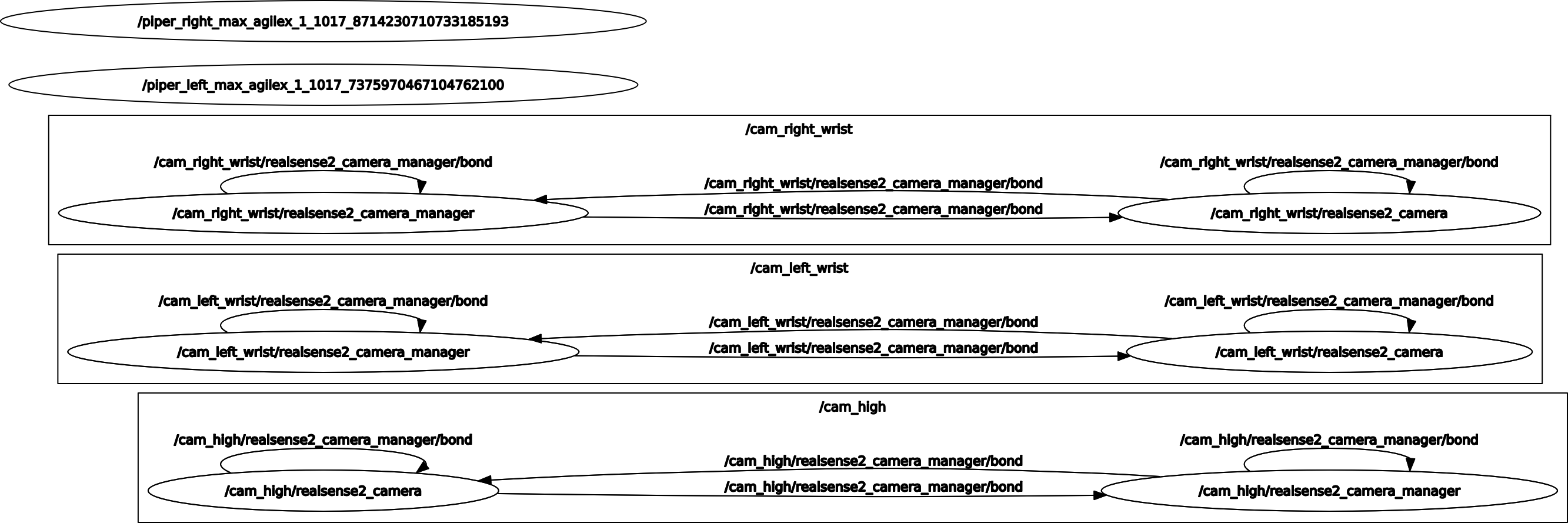 Bimanual Robot Manipulation